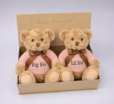 PERSONALISED BIG SIS & LIL SIS TEDDY BEAR GIFT SET