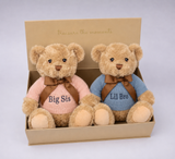 PERSONALISED BIG SIS & LIL BRO TEDDY BEAR GIFT SET